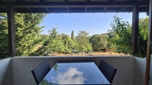 Deluxe Double or Twin Room | Terrace/patio