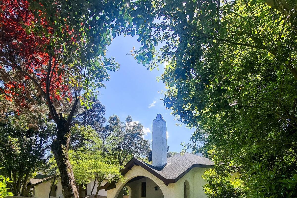 A picnic area with a bench and a small building with a peaked roof.