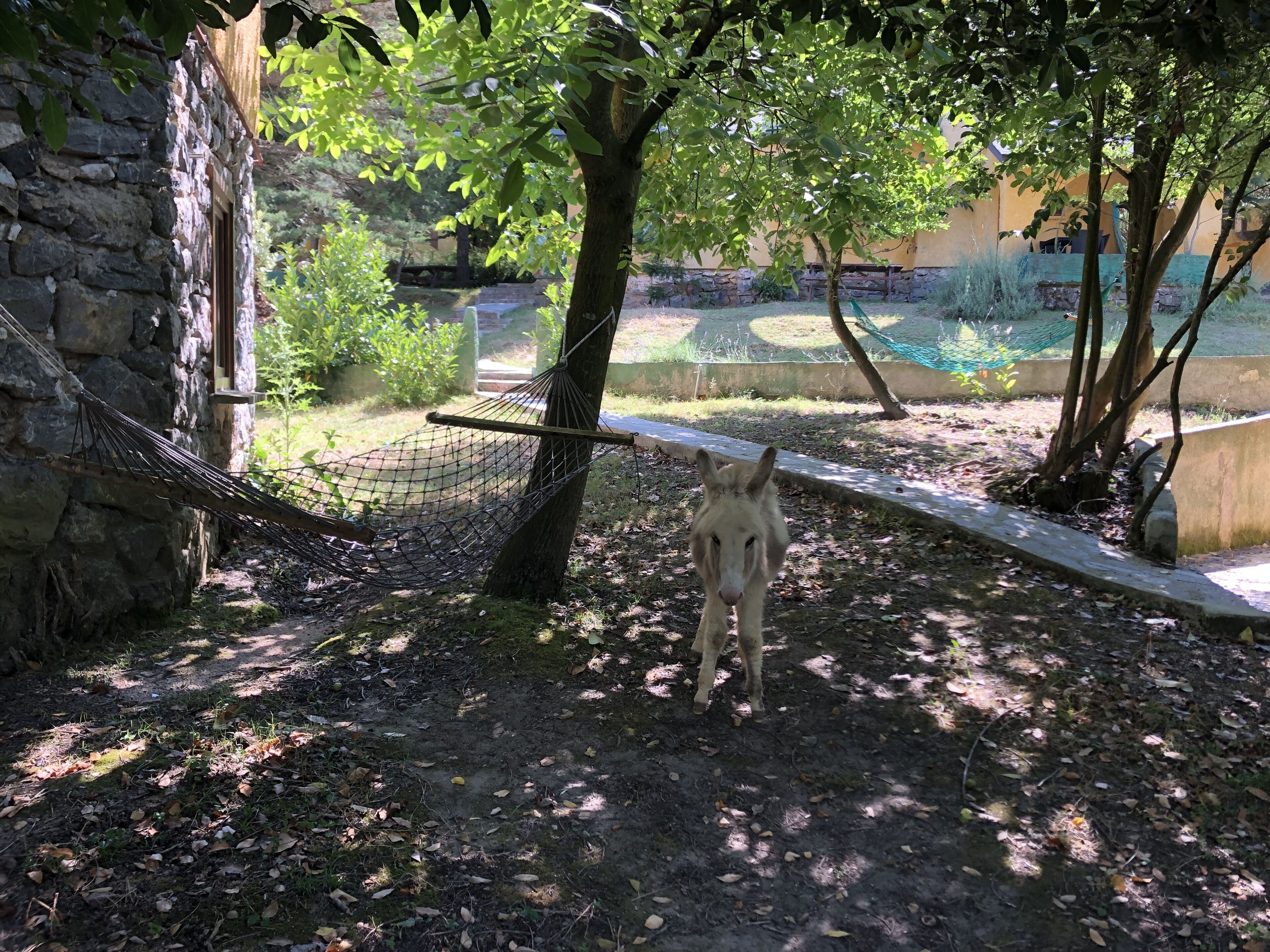 Een stenen gebouw met een hangmat en een boom.