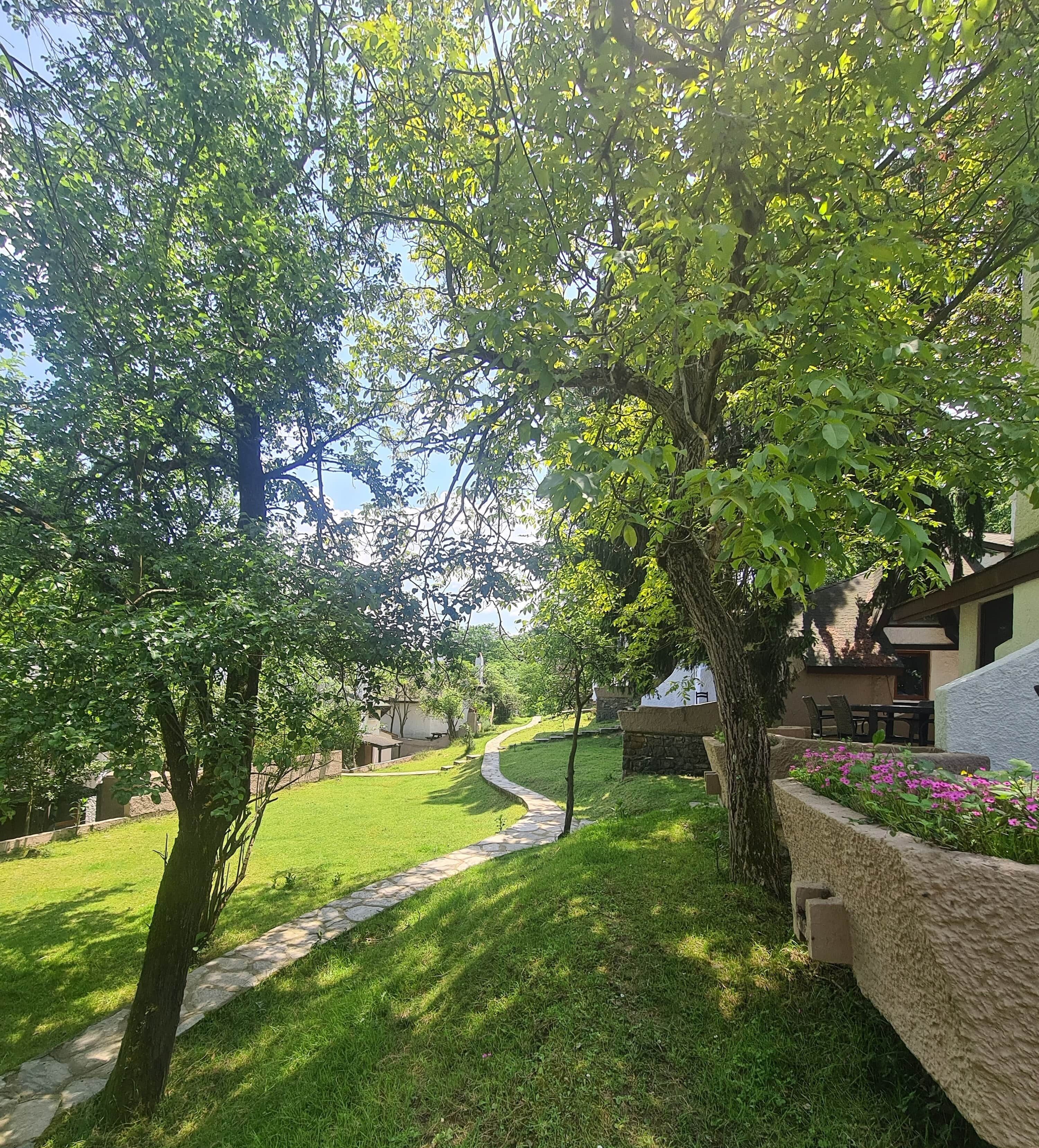 Ein gepflegter Garten mit einem Kiesweg, saftigem Grün und blühenden Pflanzen.