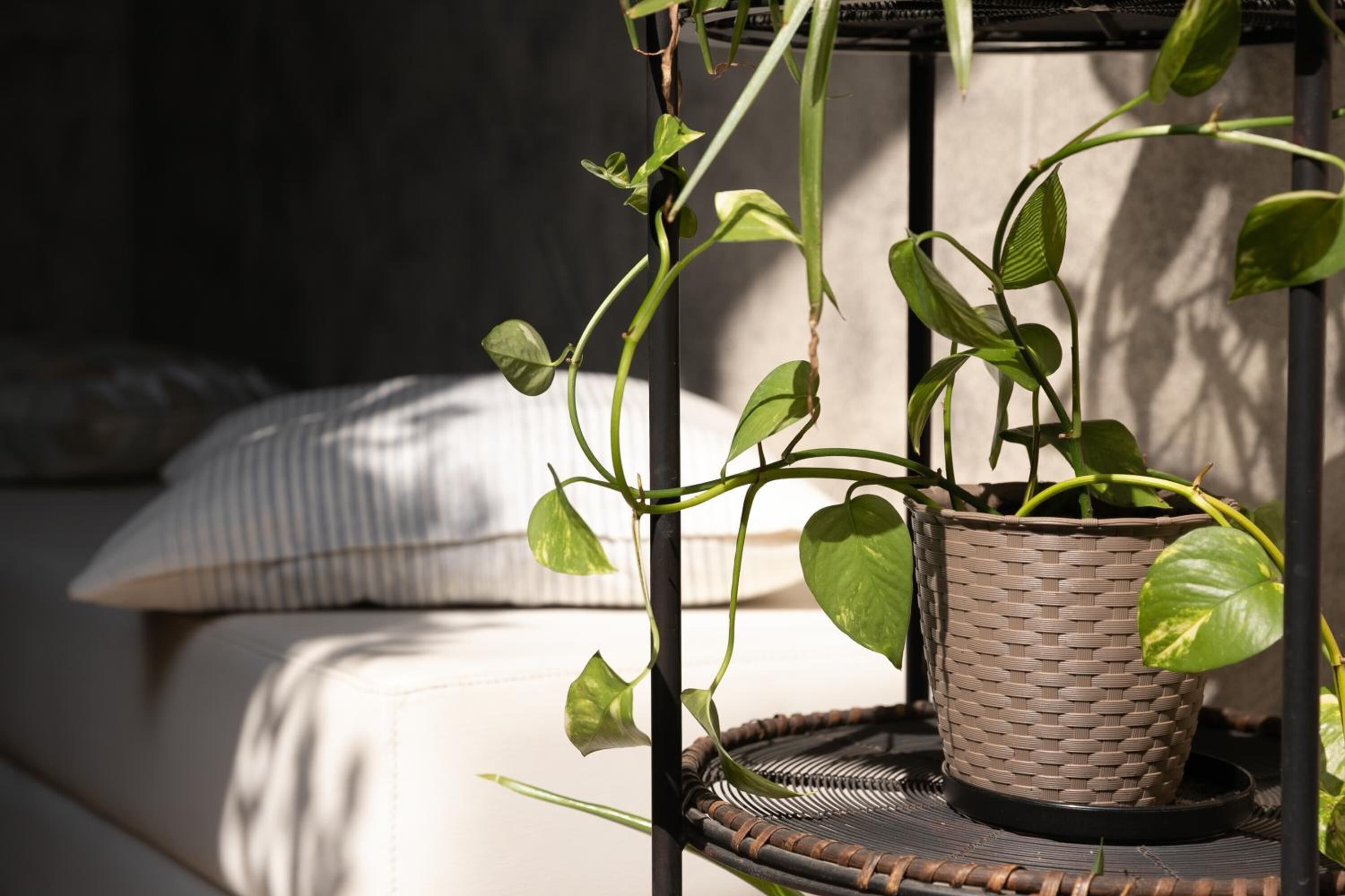 A wicker plant stand with a potted plant on a wicker table, positioned in a room with a bed and a pillow in the background.