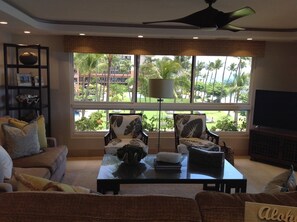 Flat-screen TV, stereo