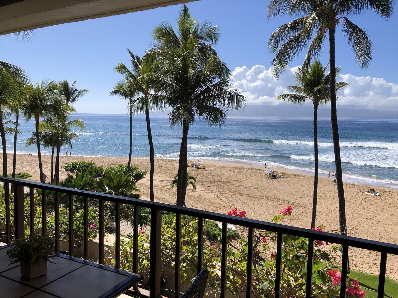 على الشاطئ، صيد الأسماك