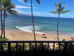 A beach with palm trees, a sandy shore, and the ocean.