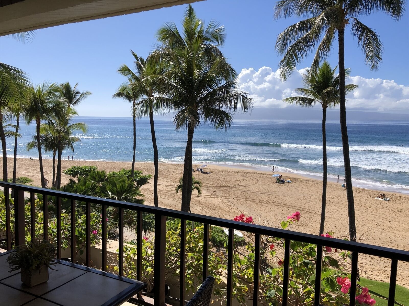 Plage, pêche sur place