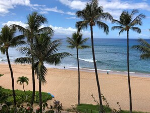 On the beach, fishing - Kaanapali Alii Resort 346 (Lahaina)