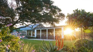 A modern building with a glass facade, surrounded by lush greenery and flowering plants. - Hotel Olivewood (Great Kei)