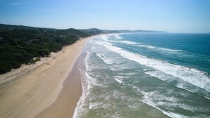 An aerial view of a beach with a long stretch of sandy shore, waves crashing onto the beach, and a line of houses in the distance. - Hotel Olivewood (Great Kei)
