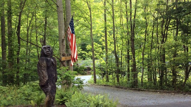 A forested area with a statue, an American flag, and a sign indicating '4784 HOLLY FIELD'. - Holyfield Cabin and Bunkhouse (Flag Pond)