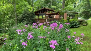 A cabin surrounded by lush greenery and vibrant purple flowers. - Holyfield Cabin and Bunkhouse (Flag Pond)