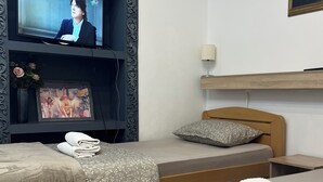 A hotel room with two beds, a TV, a painting, and a lamp. - Guesthouse Vladimir & Ana (Pancevo)