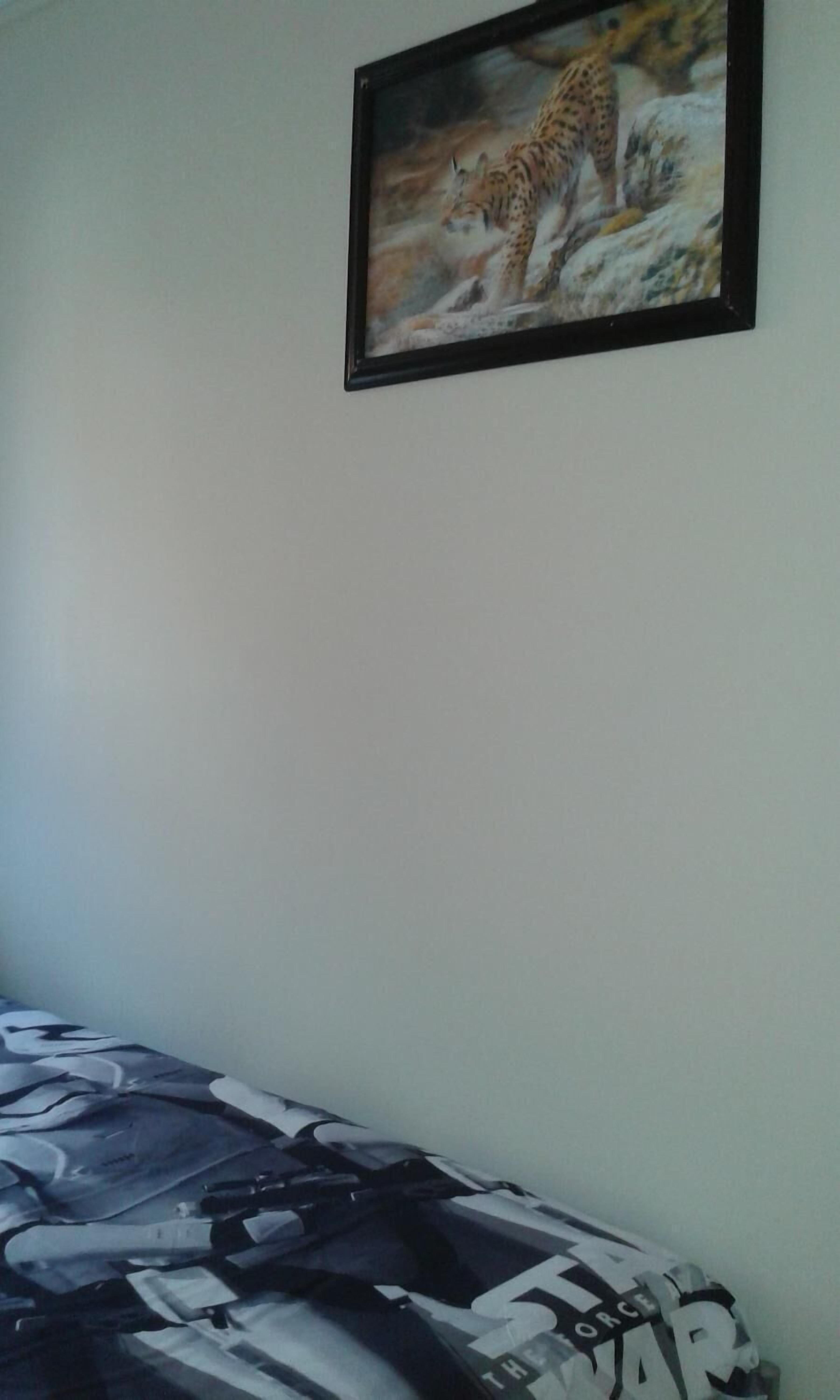 Une chambre à coucher avec un lit orné d’une couvre-lit sur le thème de Star Wars, un tableau encadré représentant des animaux sauvages accroché au mur et un mur blanc uni.