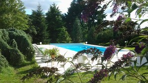 A swimming pool surrounded by lush greenery and trees.
