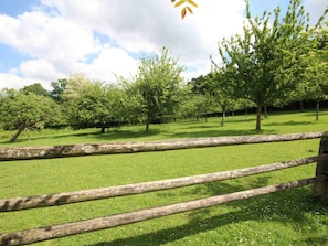 Overnatningsstedets område