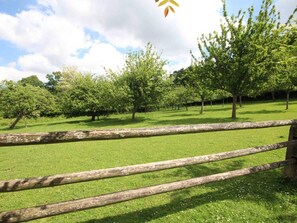 A grassy field with a wooden fence and trees. - Spacious house, pets allowed - 10 guests (La Sauvagère)