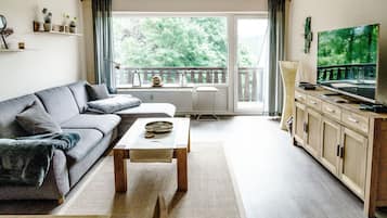 TV, DVD player, books, stereo