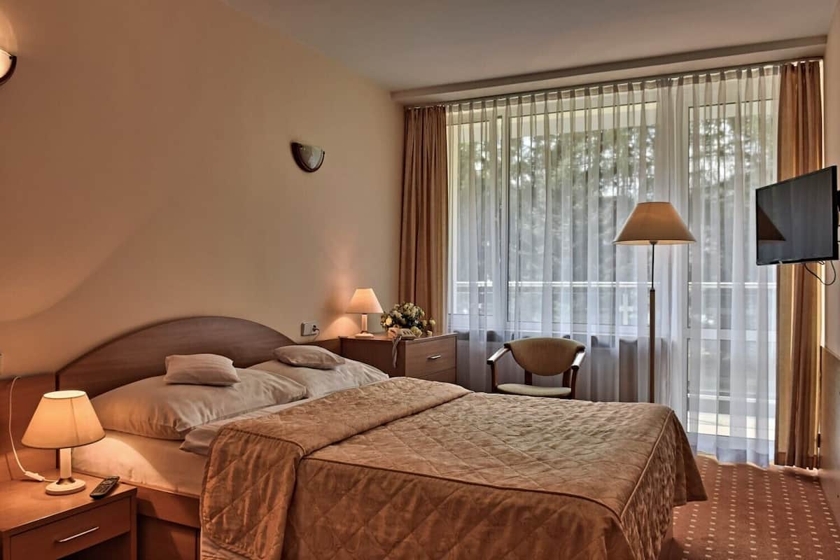Studio | Hypo-allergenic bedding, free WiFi, bed sheets, wheelchair access