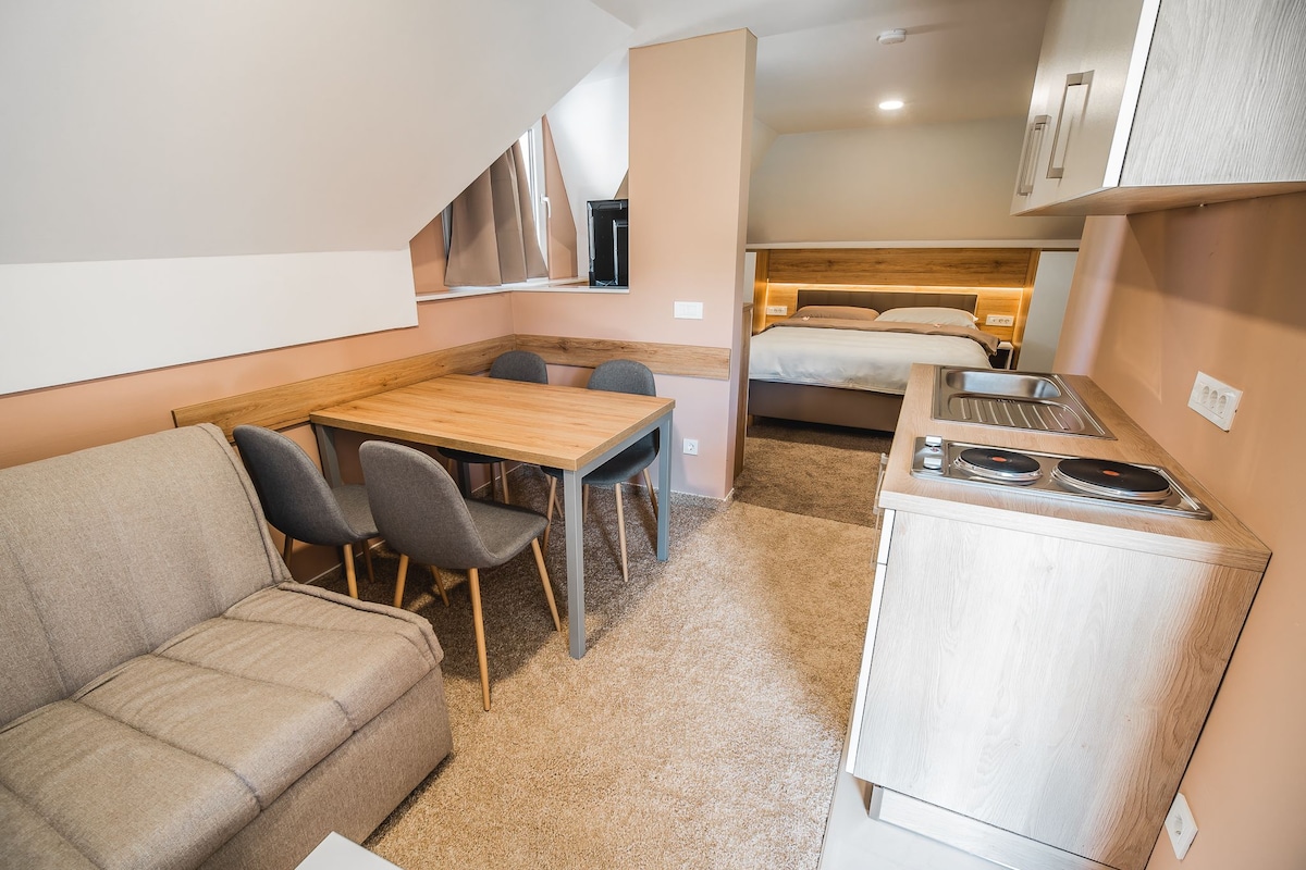 Classic Studio, Balcony (5) | Minibar, in-room safe, desk, WiFi (free)