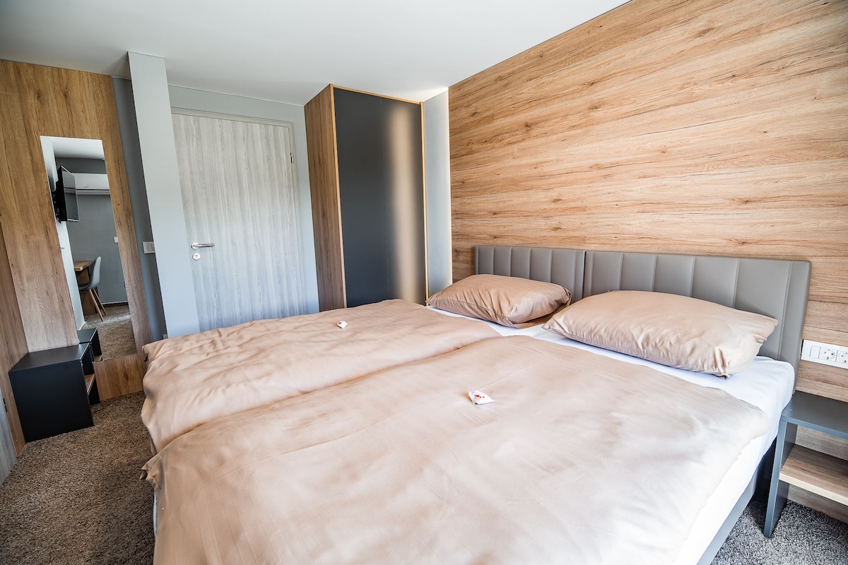 Deluxe Double or Twin Room (3) | Minibar, in-room safe, desk, WiFi (free)