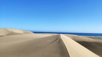 Een woestijnlandschap met zandduinen en een helderblauwe lucht.