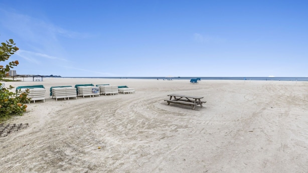 A beach with a picnic table and lounge chairs. - Enjoy the Siesta Key Beach Life to the fullest! Beach AND Pool Access (Siesta Key)