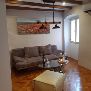 TV, books, music library, stereo - Old Istrian house (Vodnjan)