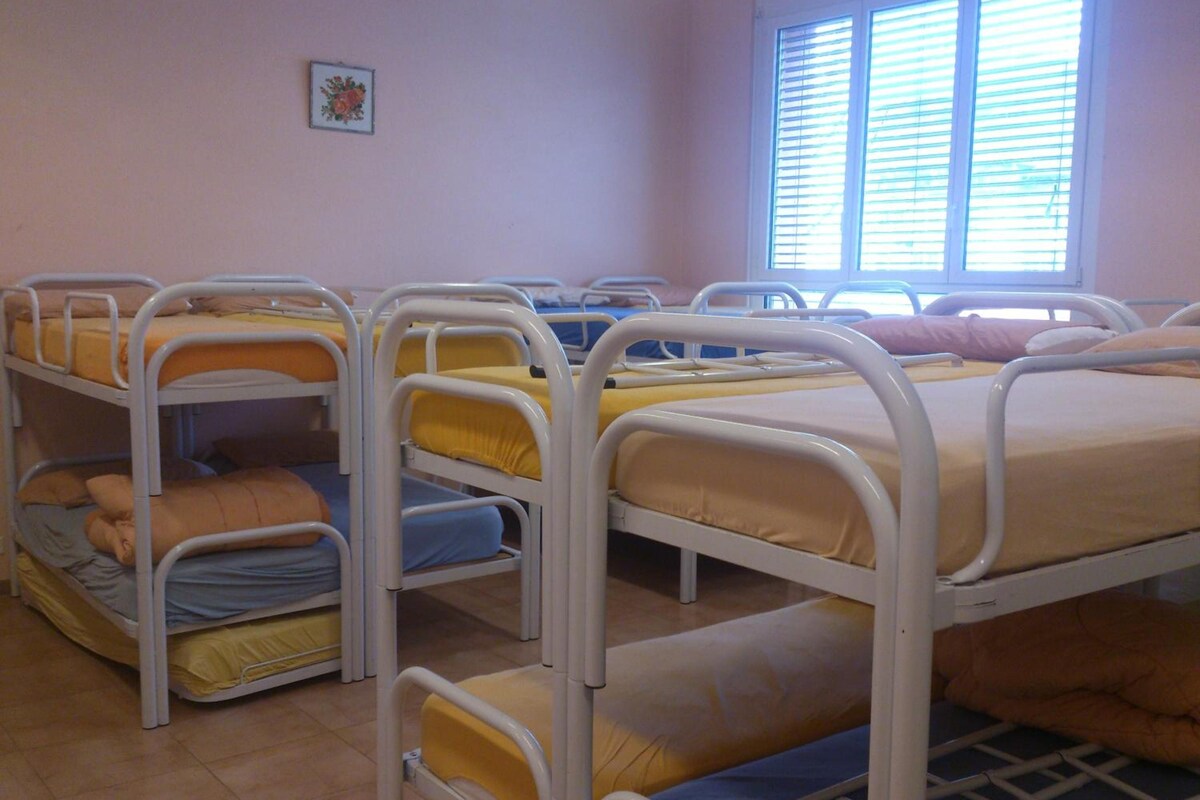 A dormitory room with bunk beds, a window with blinds, and a small wall decoration.