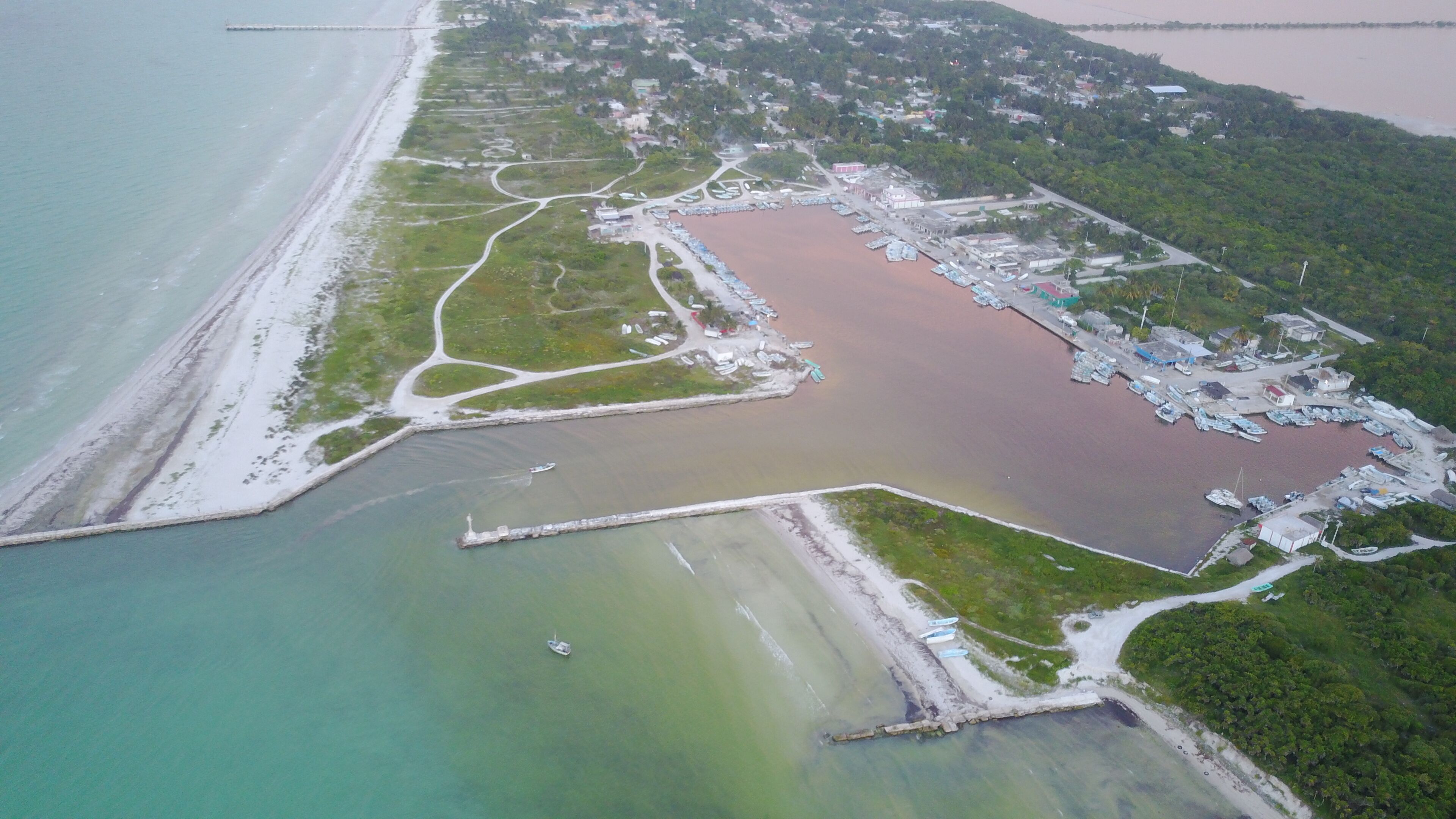 Vista aérea de una zona costera con un puerto deportivo, una playa y una colina boscosa.