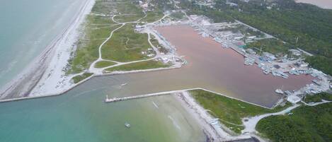 Vista aérea de una zona costera con un puerto deportivo, una playa y una colina boscosa.