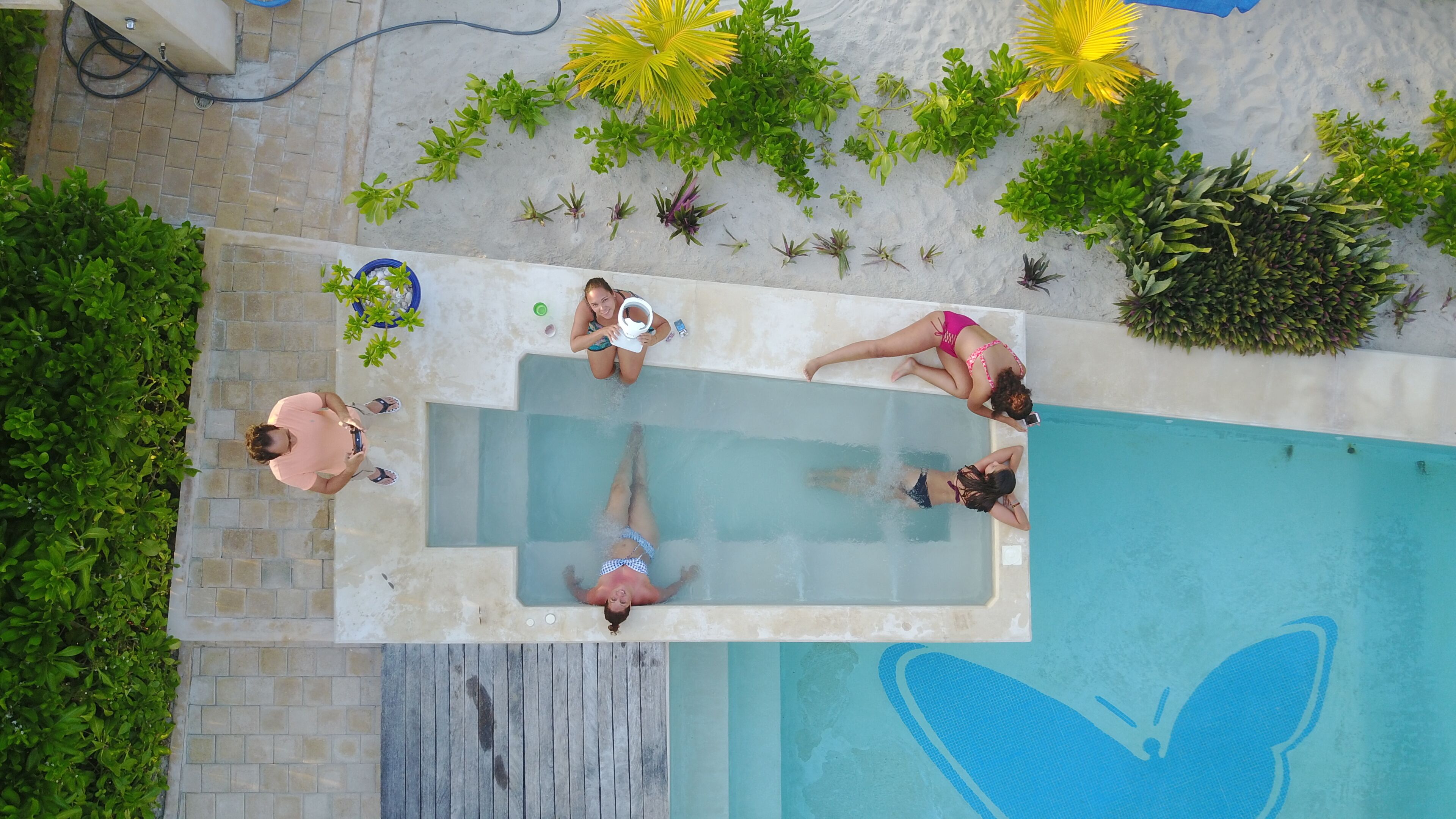 An aerial view of a swimming pool with a butterfly design, surrounded by greenery and plants.