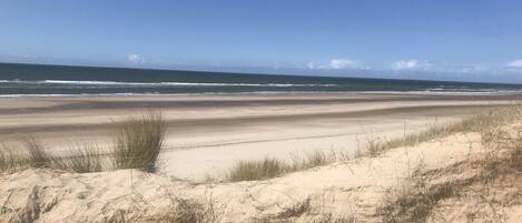 Playa en los alrededores y camastros