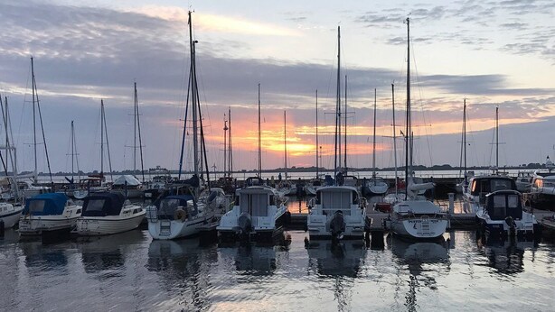 A marina with multiple boats docked at low tide.
