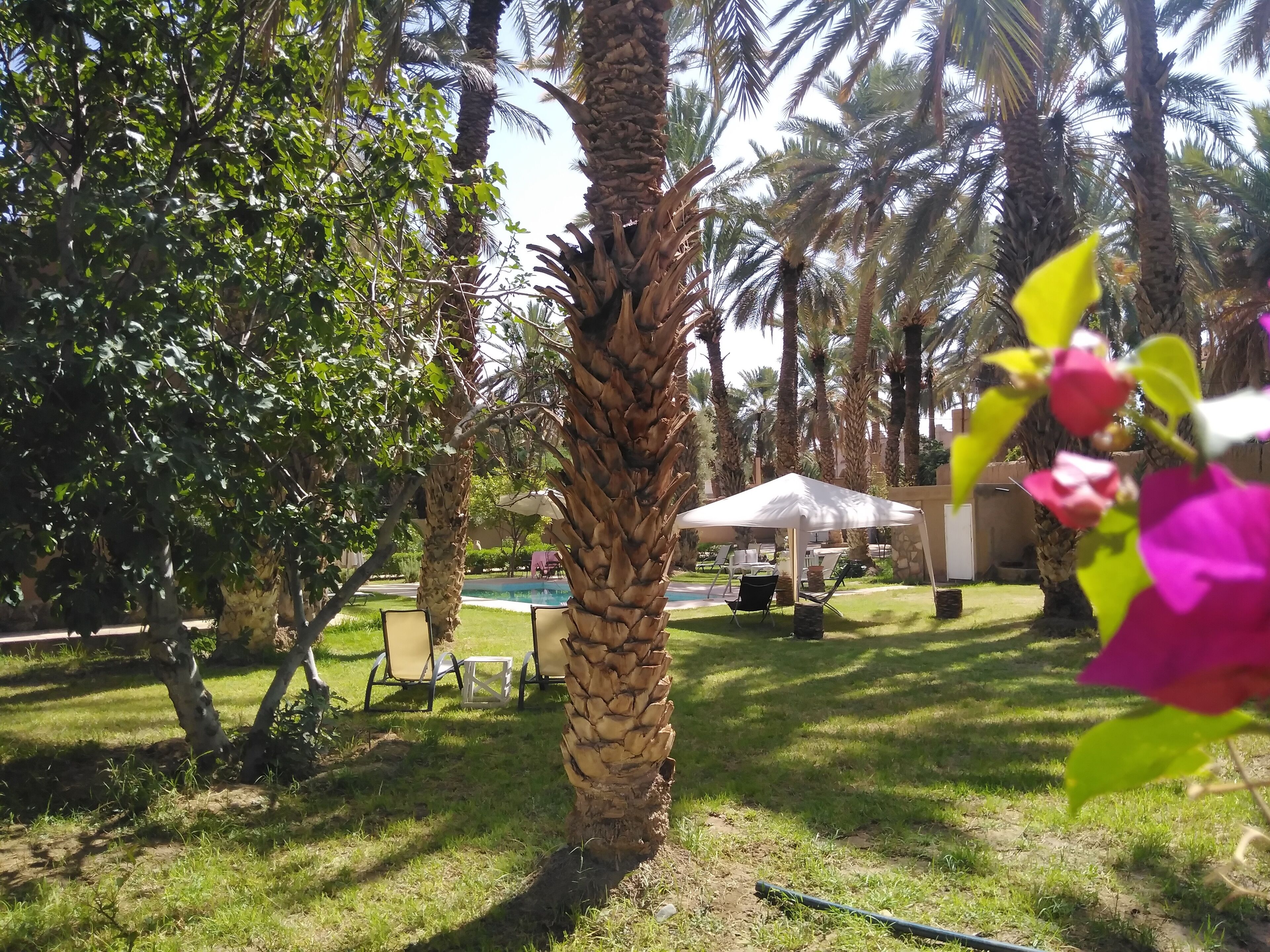 Jardin