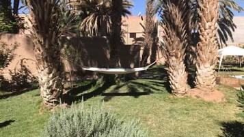 المنطقة المحيطة بالمنشأة