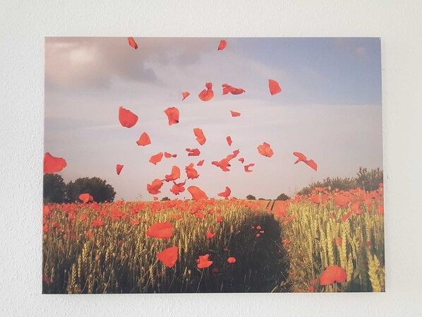 Imagen sin descripción, 1 de 13, botón