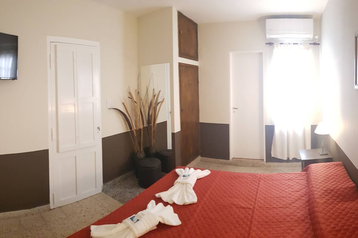 Una habitación de hotel con una cama, un televisor de pantalla plana, una planta en maceta y un ventanal con cortinas.