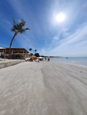 A beach with a clear sky, palm trees, and a building with outdoor seating. - Bem Bahia Hotel (Santa Cruz Cabralia)