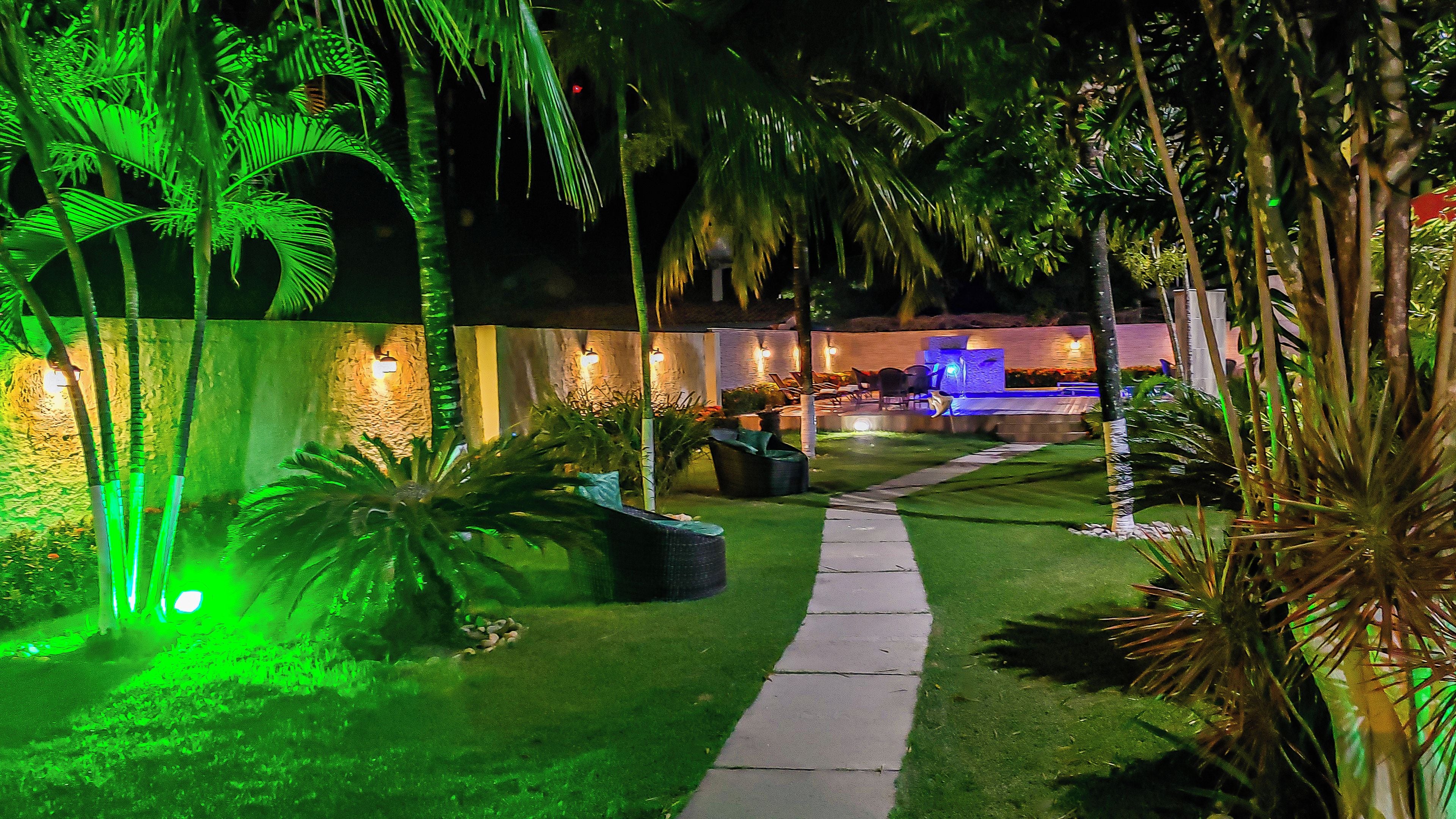 Un jardín nocturno con un sendero, palmeras y un elemento acuático.
