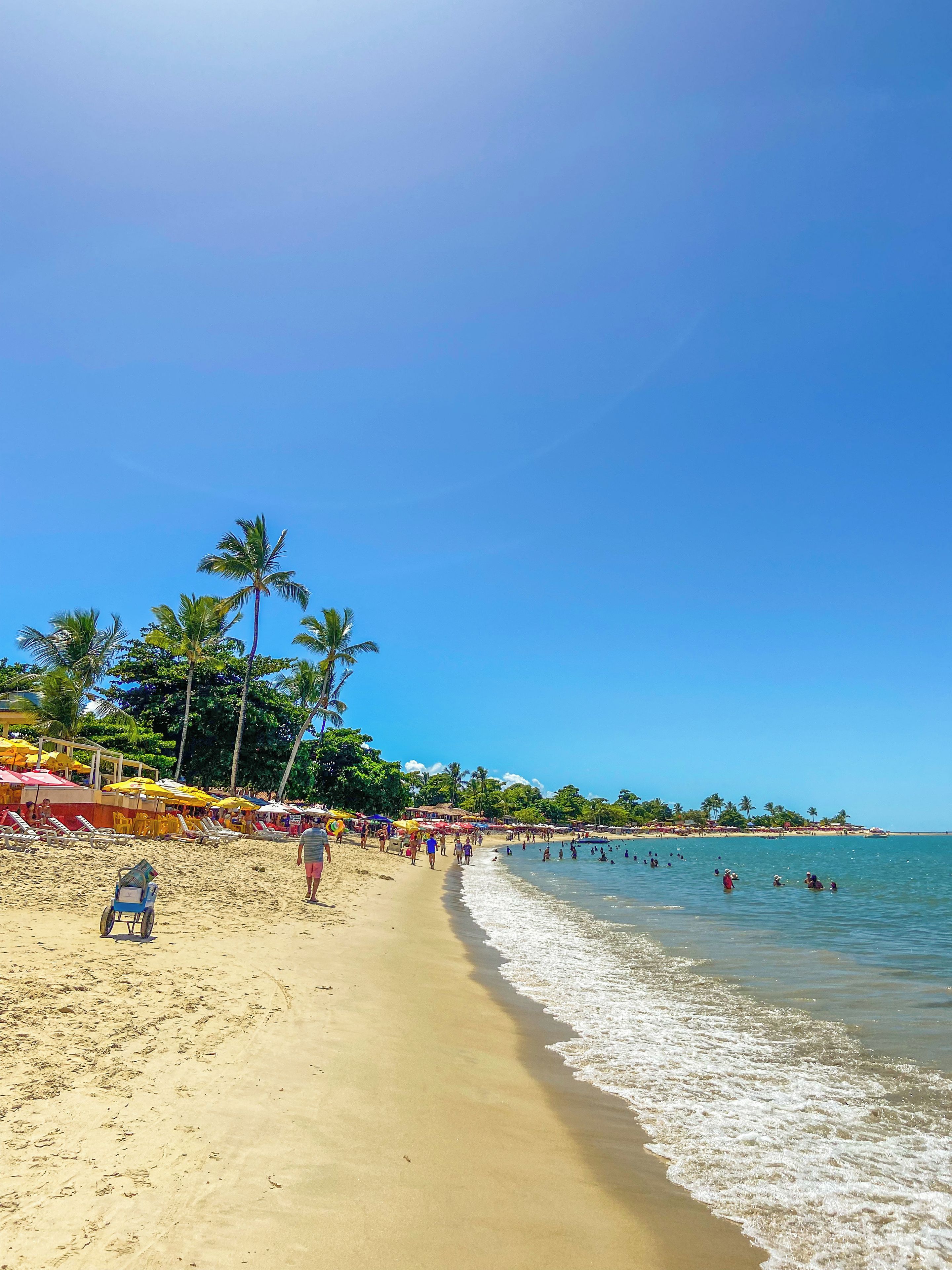 Una playa con tumbonas y sombrillas, palmeras y gente caminando por la orilla.