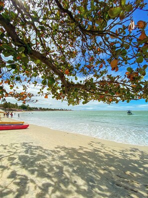 Playa