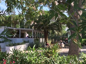 Bar (on property) - Camping Campo al Fico (Piombino)