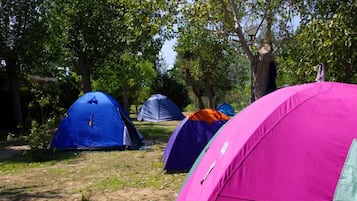 Tenda (No bed provided, bring your own) | 1 kamar tidur