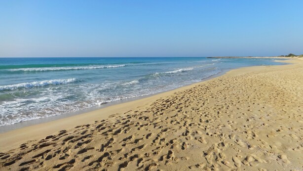 Une plage de sable où l’on peut voir des empreintes menant à l’eau, un ciel dégagé et des vagues douces.