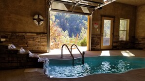 An indoor swimming pool with a stone wall, a lifebuoy, and a view of trees through a door.