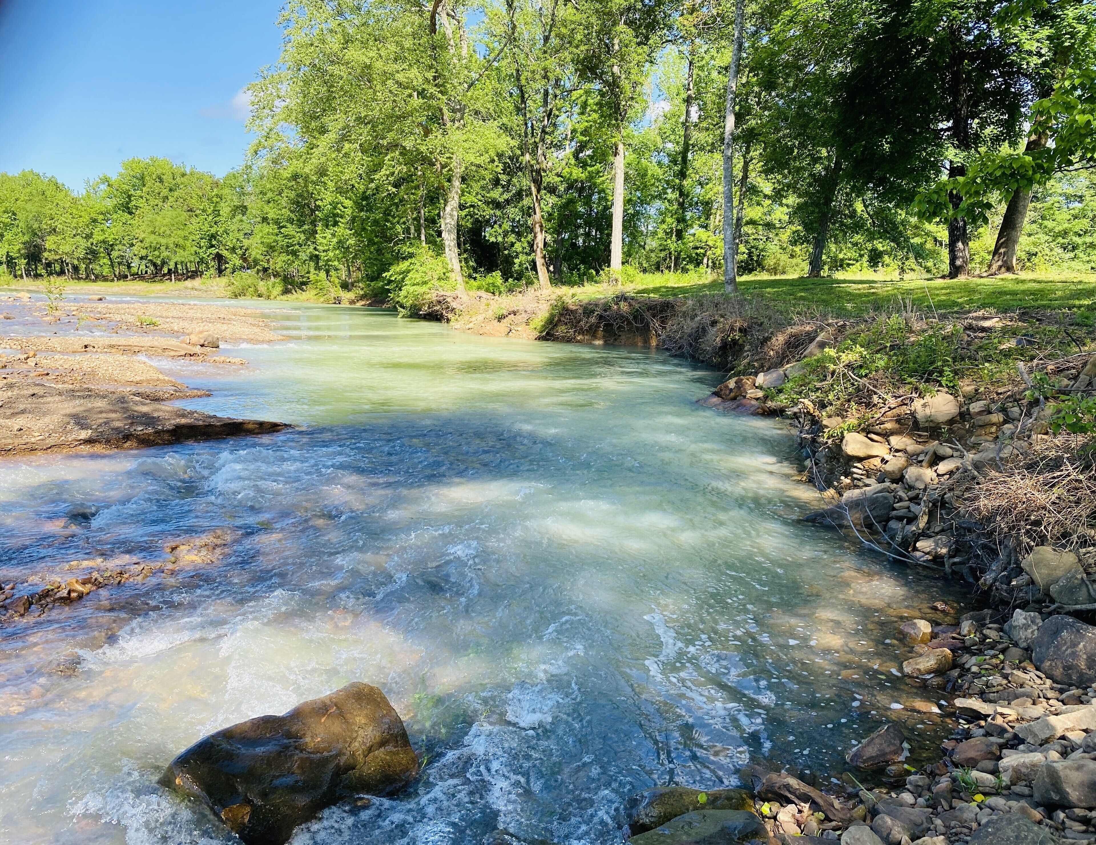 A clear river with rocks and trees in the background.