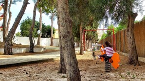 Ein Park mit Bäumen, einem Basketballkorb und einem Spielplatz mit Schaukeln.