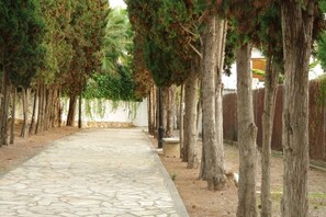 Terrein van de accommodatie