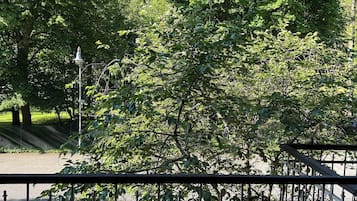 Single Room, Balcony | View from room