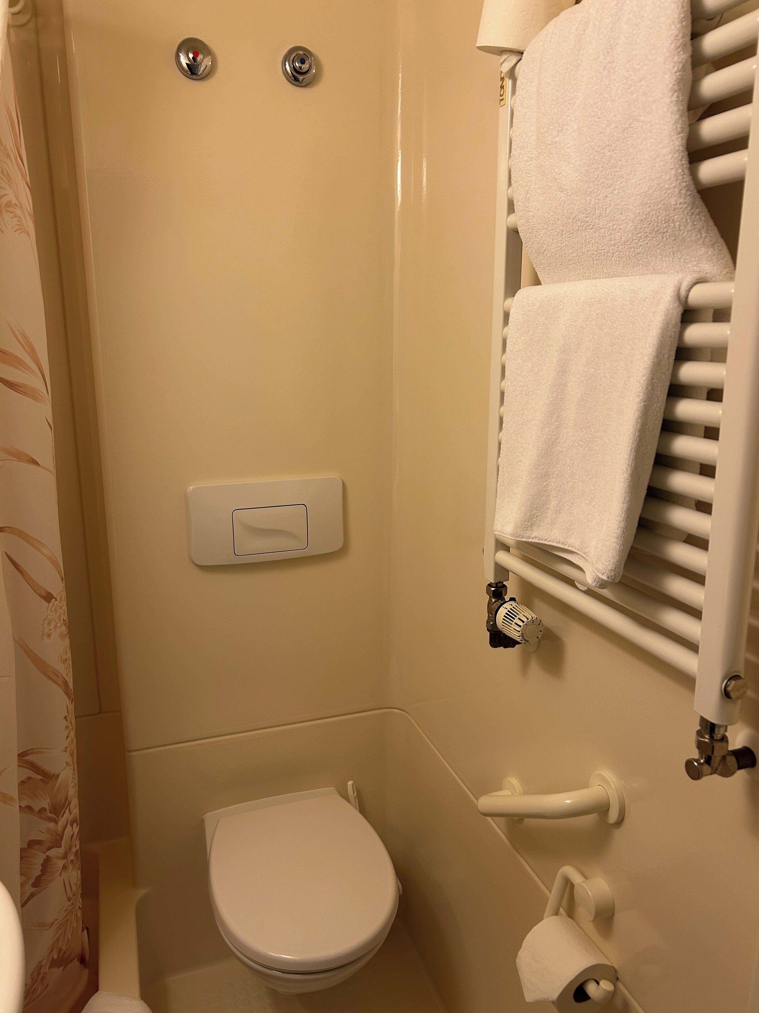 Un baño con inodoro, un perchero con toallas, un dispensador de papel higiénico y un interruptor de luz en la pared.