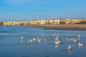 Huis, 3 slaapkamers | Strand
